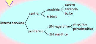 Imagen de un esquema de rayas seg�n se describe en el texto.
